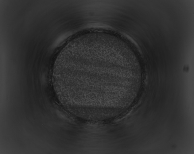 X0000091850775200710031019