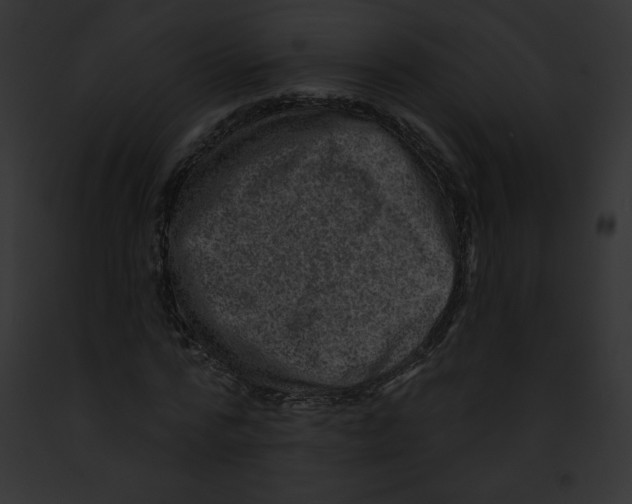 X0000091850776200710031019