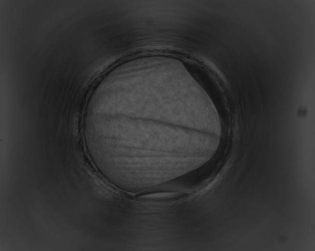 X0000091850777200710031019