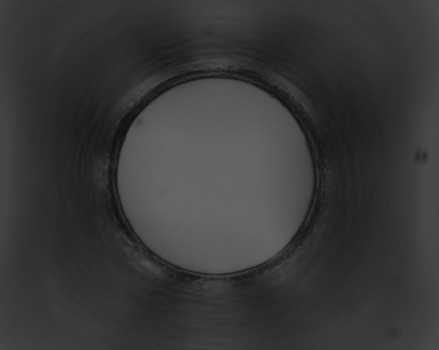 X0000091850778200710031019