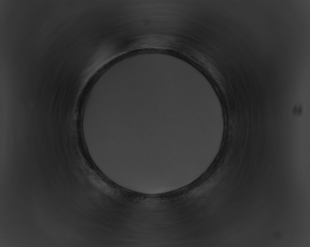 X0000091850779200710031019