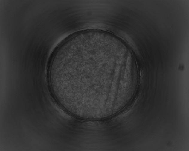 X0000091850780200710031019