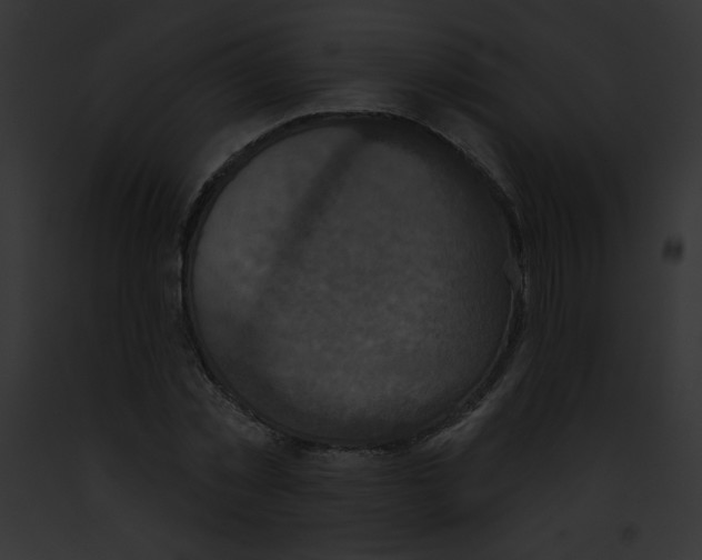 X0000091850781200710031019