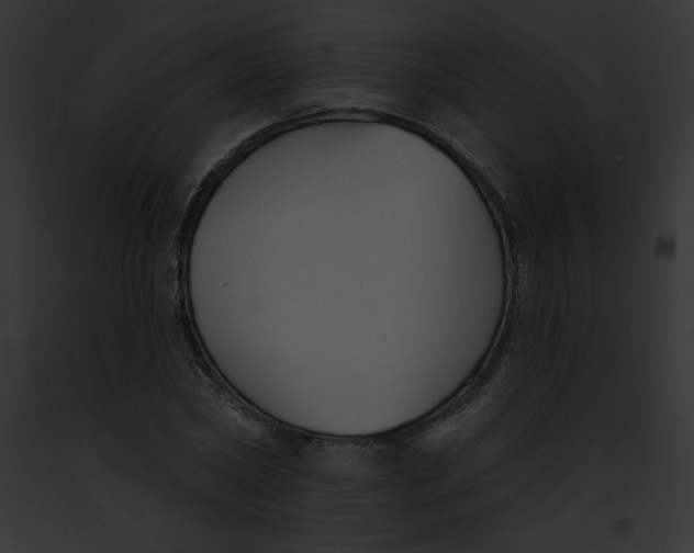 X0000091850782200710031019
