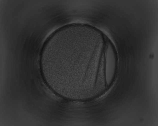 X0000091850783200710031019