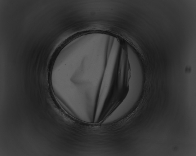 X0000091850784200710031019