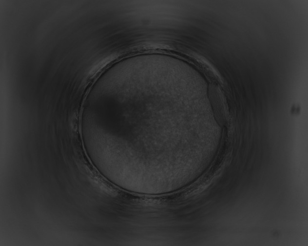X0000091850785200710031019