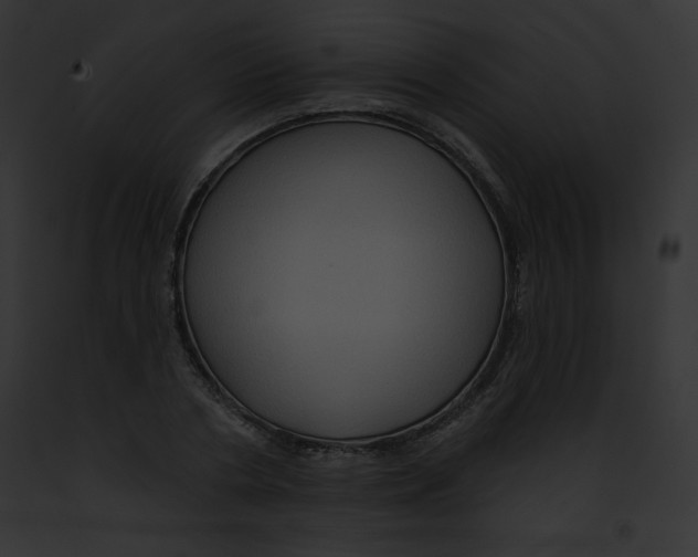 X0000091850786200710031019