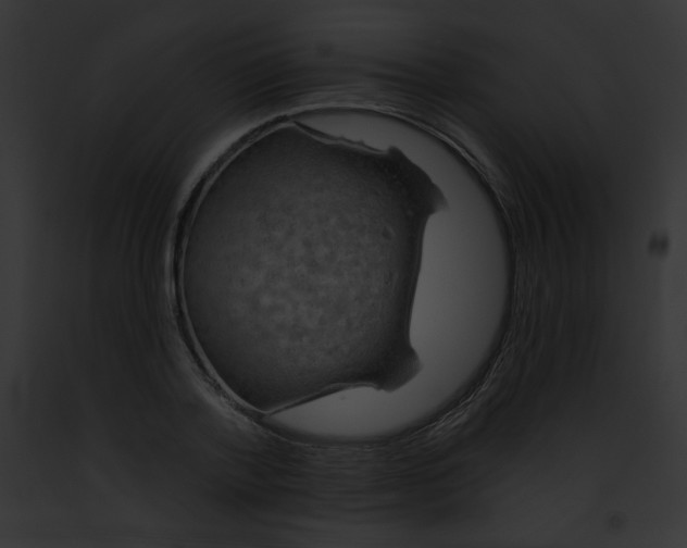 X0000091850788200710031019