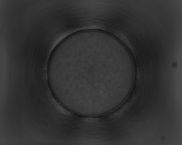 X0000091850789200710031019