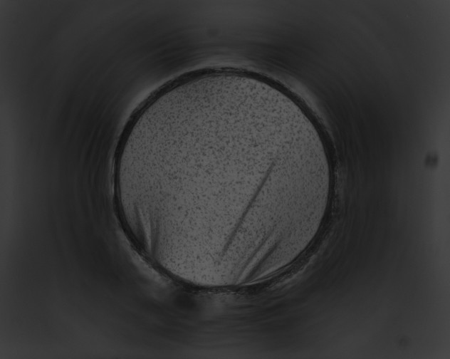 X0000091850791200710031019