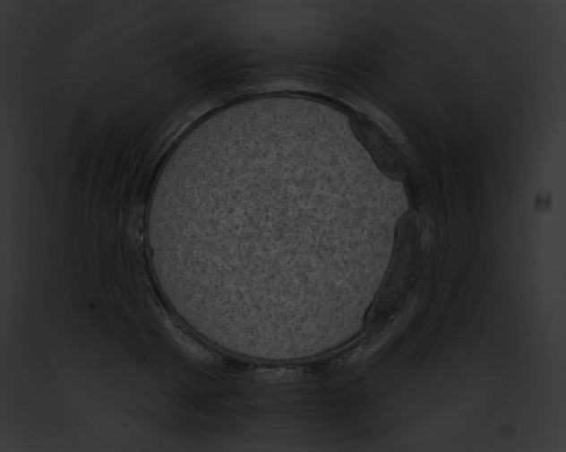 X0000091850793200710031019