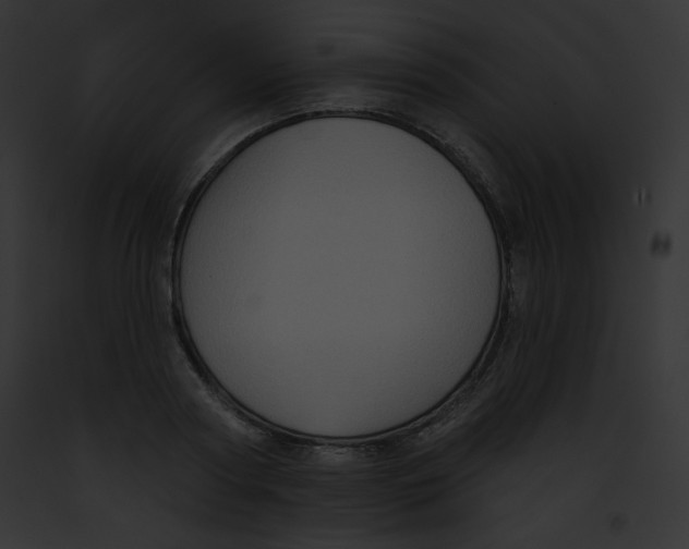 X0000091850794200710031019