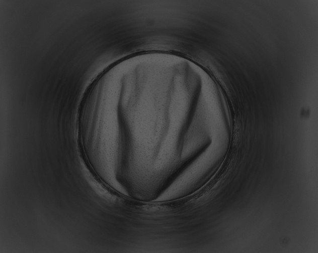 X0000091850795200710031019