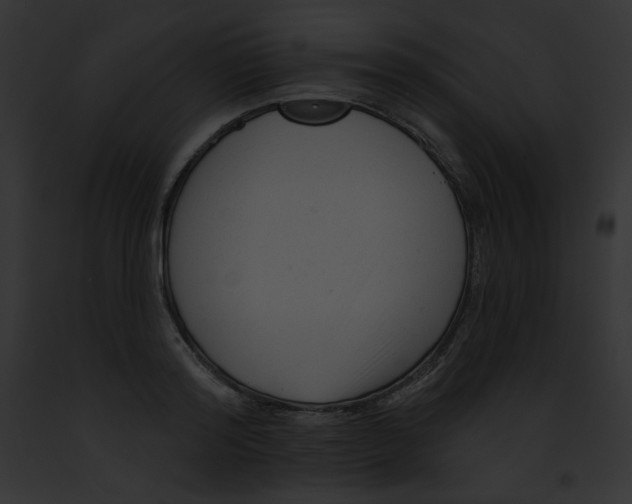 X0000091850796200710031019