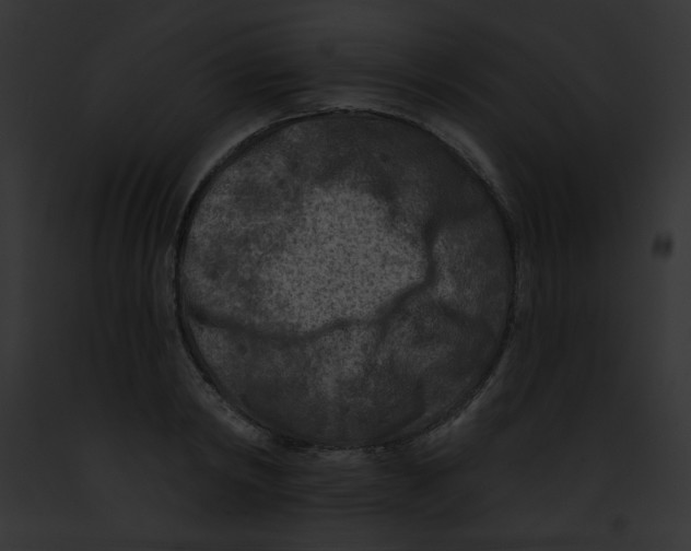 X0000091850798200710031019