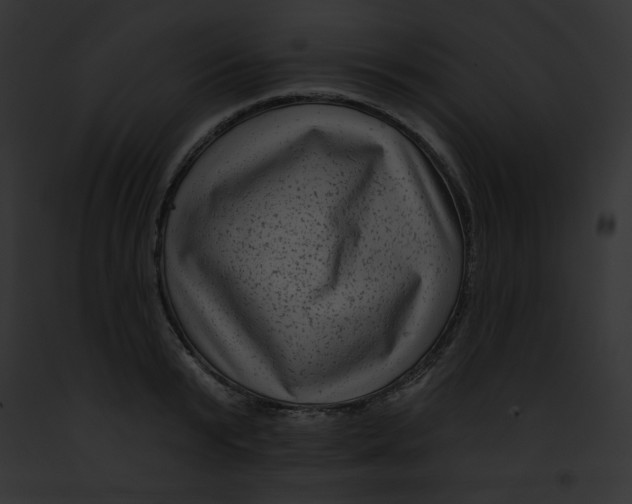 X0000091850799200710031019