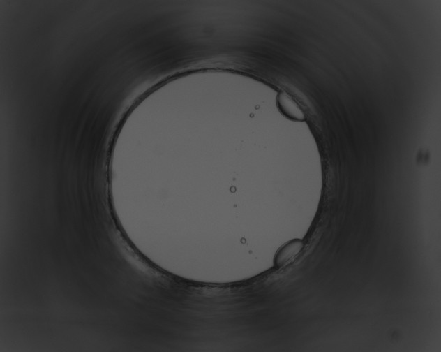 X0000091850800200710031019