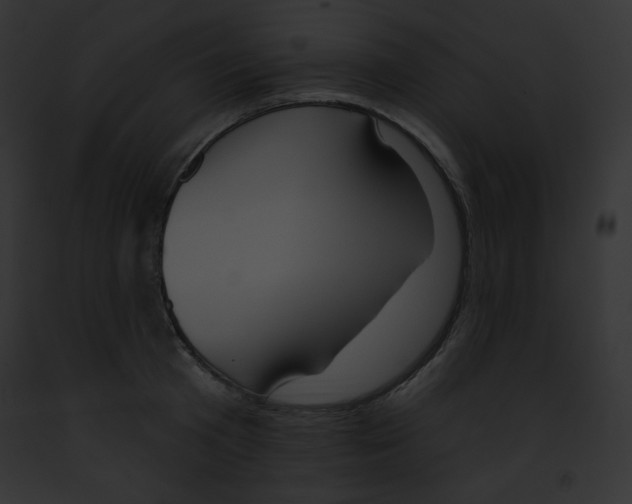 X0000091850801200710031019