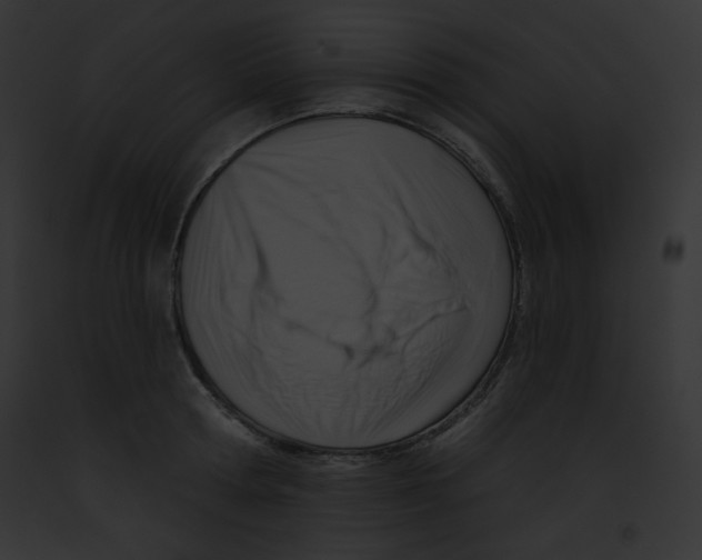 X0000091850802200710031019