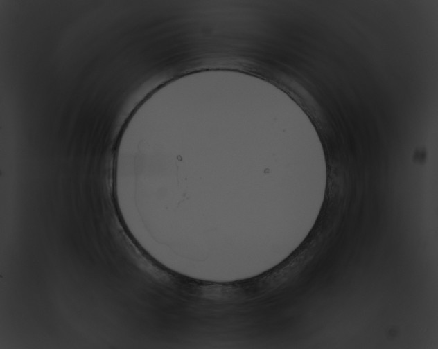 X0000091850804200710031019