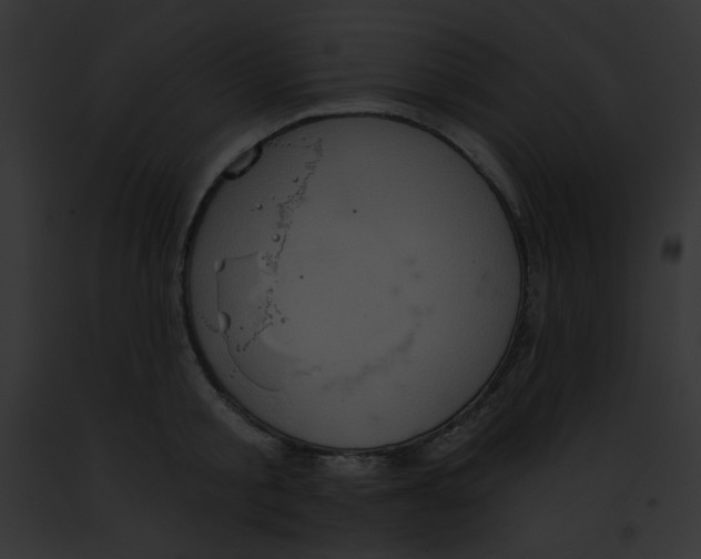 X0000091850805200710031019