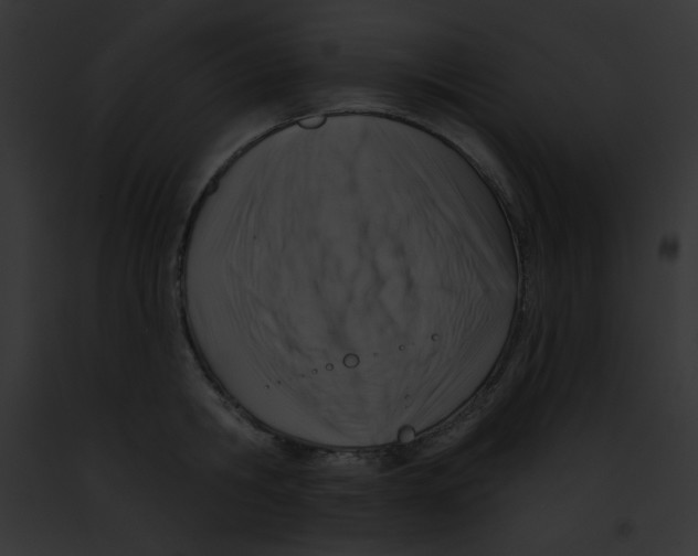 X0000091850806200710031019