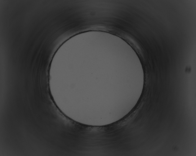 X0000091850808200710031019