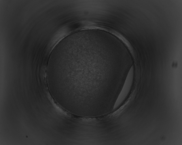 X0000091850809200710031019