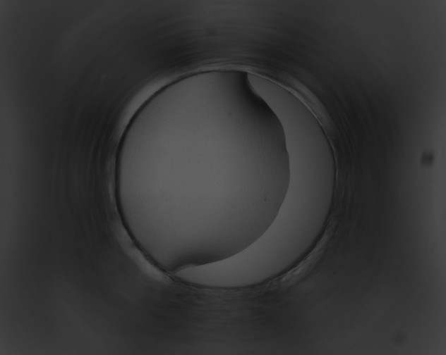 X0000091850812200710031019