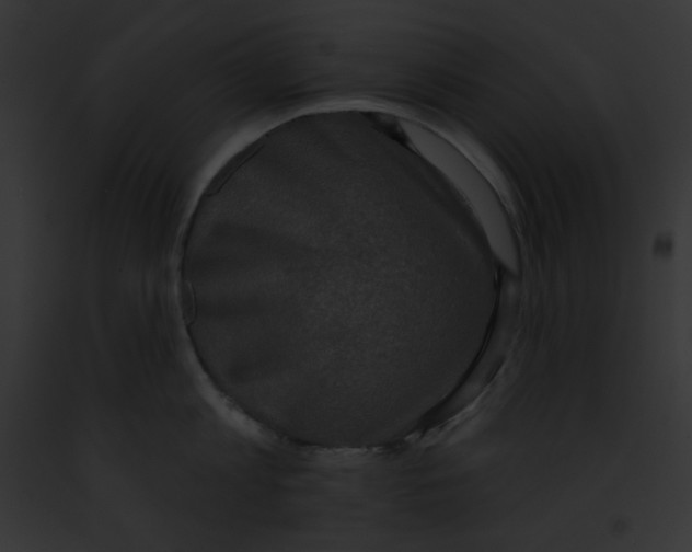 X0000091850813200710031019