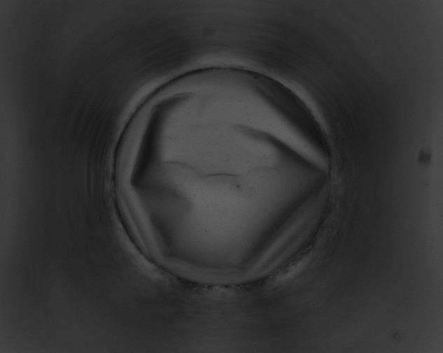 X0000091850815200710031019