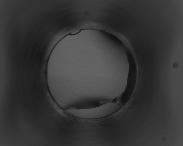 X0000091850816200710031018
