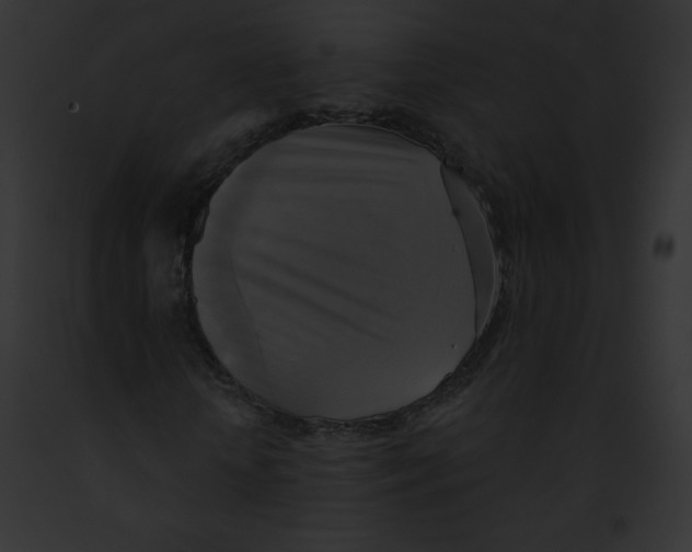X0000091850818200710031018