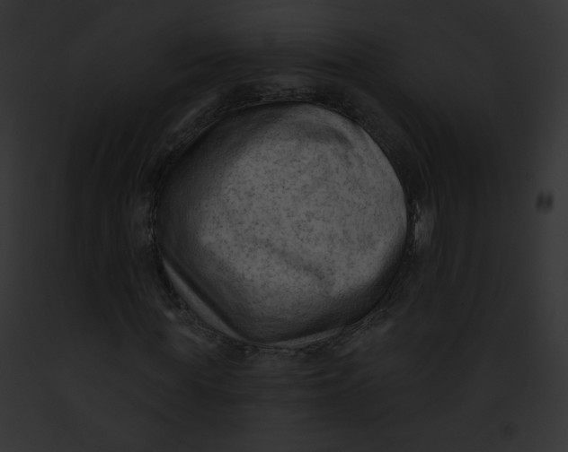 X0000091850819200710031018
