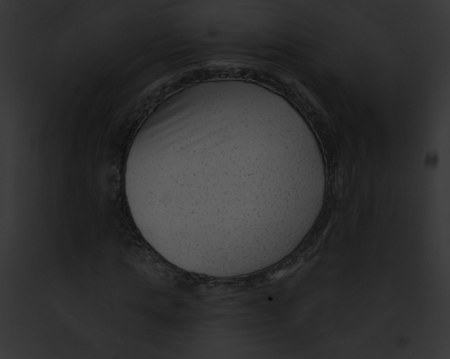 X0000091850821200710031018