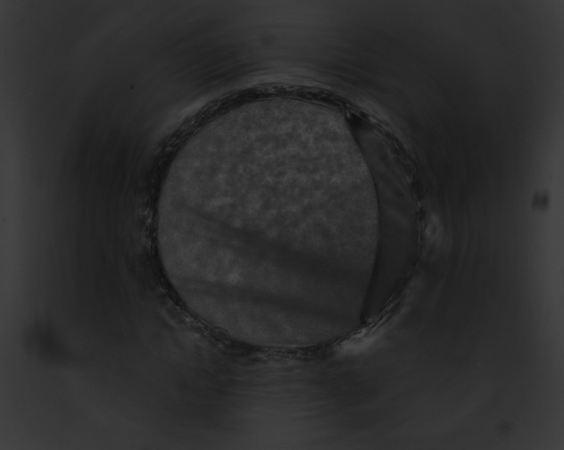 X0000091850822200710031018