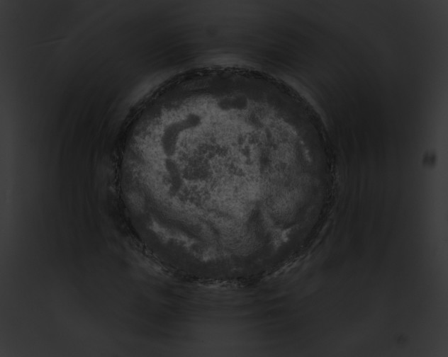 X0000091850823200710031018