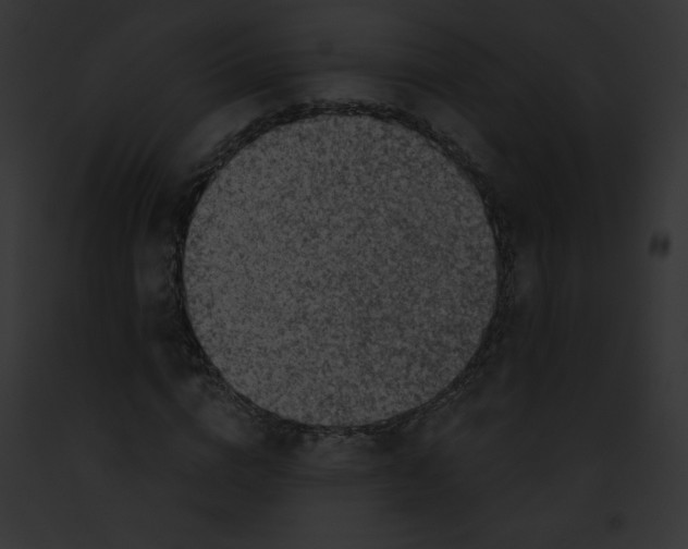 X0000091850824200710031018