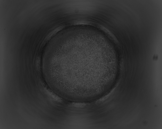 X0000091850825200710031018