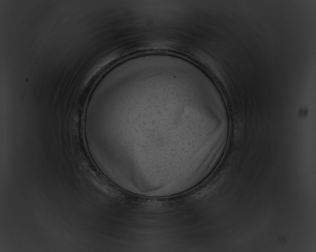 X0000091850827200710031018