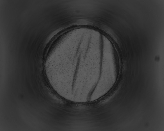 X0000091850829200710031018