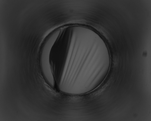 X0000091850830200710031018