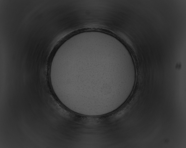 X0000091850831200710031018