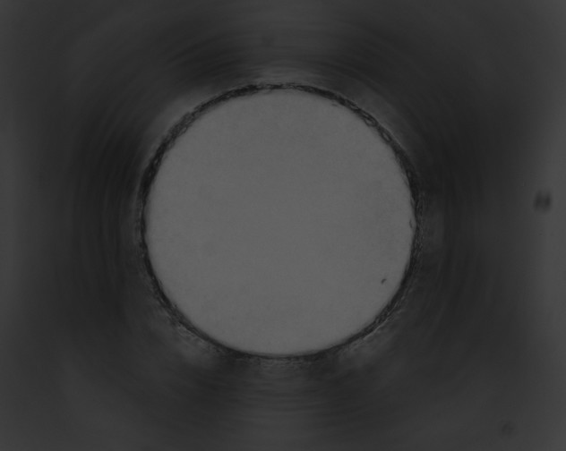 X0000091850832200710031018