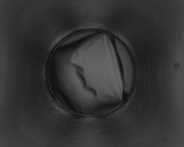 X0000091850834200710031018