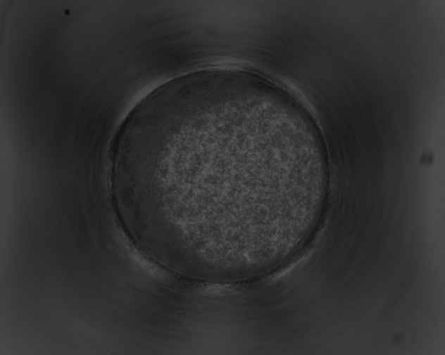 X0000091850835200710031018