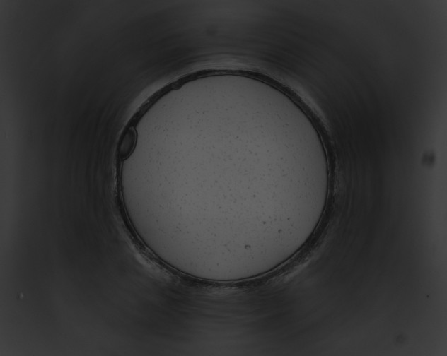 X0000091850837200710031018