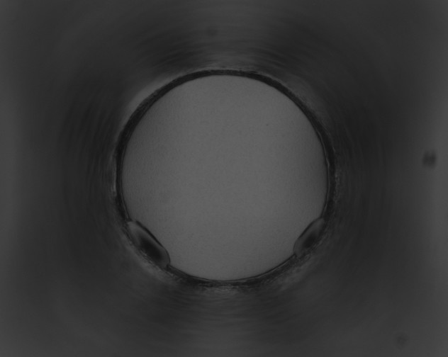 X0000091850838200710031018