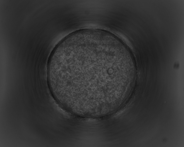 X0000091850839200710031018